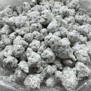 Alternative view of SNOWBALLS CAPS