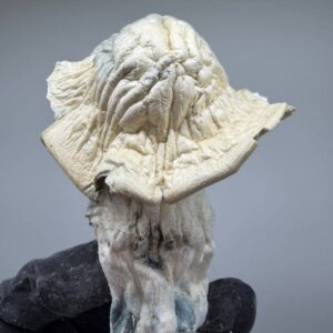 Gandalf Mushroom