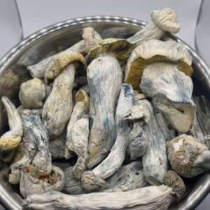 Alternative view of Iceberg Mushroom